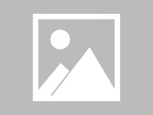 杭州萧山区红山农场附近酒吧招聘商务礼仪,(不抽台费)
