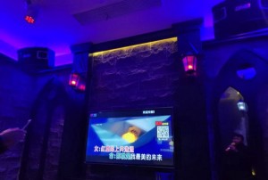 杭州西湖区留下街道附近ktv招聘包厢气氛租,领班直聘的