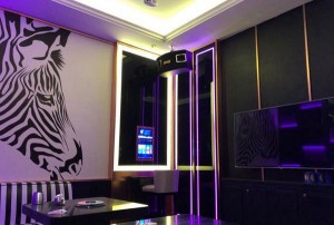 杭州萧山区蜀山街道附近夜总会招聘商务礼仪,(不压工资待遇好的)